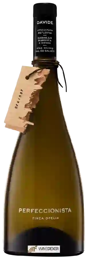 Winery DaVide - Perfeccionista Finca Ofelia Winery DaVide - Perfeccionista Finca Ofelia