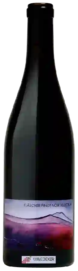 Weingut Hermann - Fläscher Pinot Noir Selection