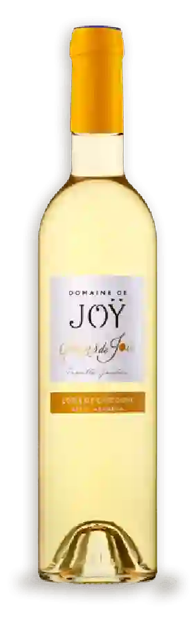 Domaine de Joy - Grains de Joy Côtes de Gascogne