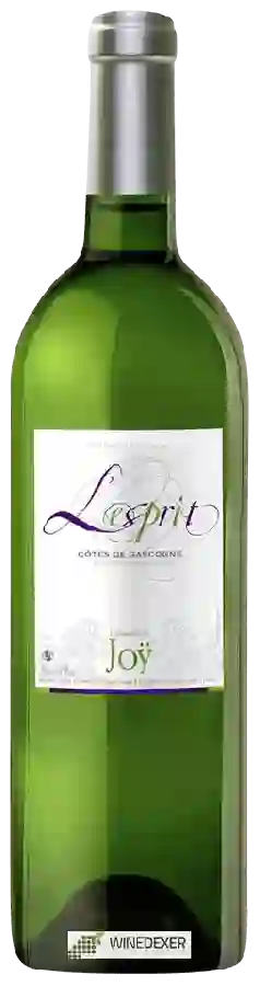 Domaine de Joy - L'Esprit Côtes de Gascogne Blanc