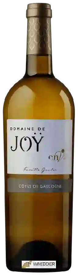 Domaine de Joy - Envie Côtes de Gascogne Domaine de Joy - Envie Côtes de Gascogne