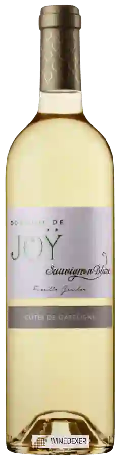 Domaine de Joy - Sauvignon Blanc