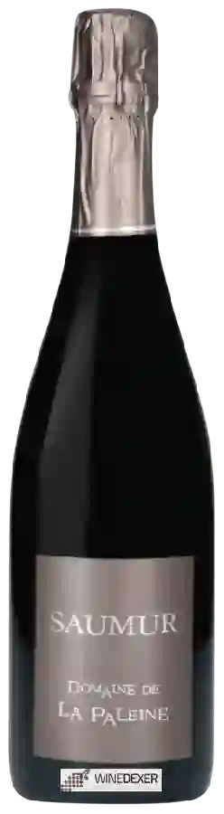 Domaine de la Paleine - Saumur Brut