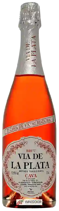 Winery Vía de la Plata - Cava Brut Rosé Winery Vía de la Plata - Cava Brut Rosé