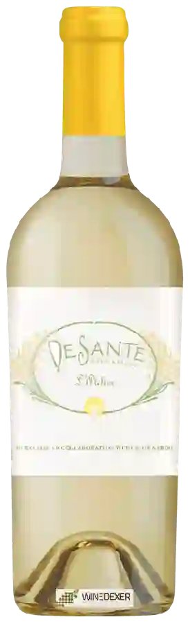 Winery DeSante - L'Atelier