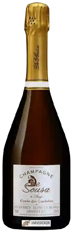 Winery De Sousa - Cuvée des Caudalies Blanc de Blancs Extra Brut Champagne Grand Cru 'Avize'