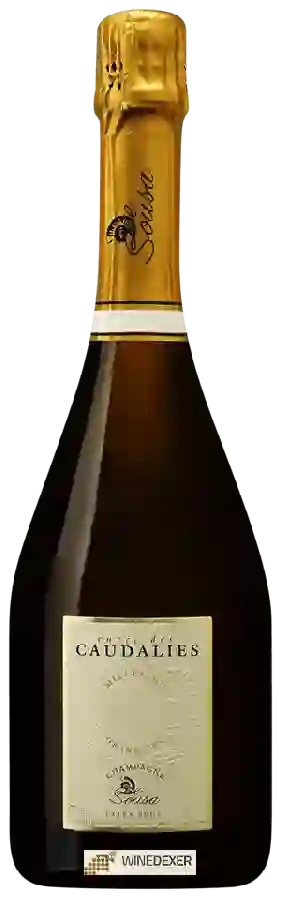 Winery De Sousa - Cuvée des Caudalies Extra Brut Millesimé Champagne Grand Cru