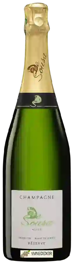 Winery De Sousa - De Sousa Reserve Blanc de Blancs Champagne Grand Cru 'Avize'