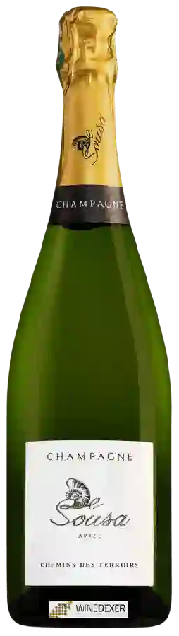 Winery De Sousa - Chemins des Terroirs Champagne Grand Cru 'Avize'