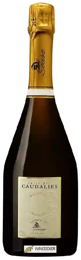 Winery De Sousa - Cuvée des Caudalies Brut Millesimé Champagne Grand Cru 'Avize'