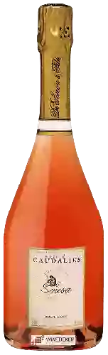 Winery De Sousa - Cuvée des Caudalies Brut Rosé Champagne Grand Cru 'Avize'