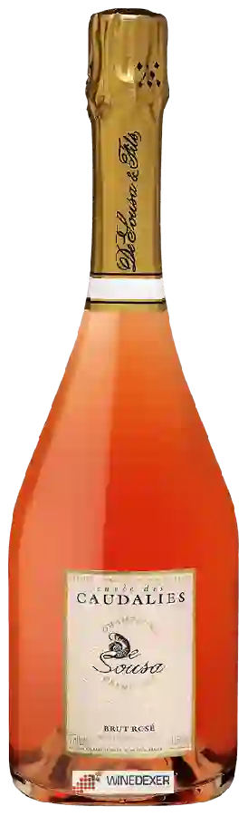 Winery De Sousa - Cuvée des Caudalies Brut Rosé Champagne Grand Cru 'Avize'