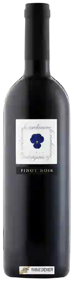 Domaine de Vigne Blanche - La Cardamone Pinot Noir Domaine de Vigne Blanche - La Cardamone Pinot Noir