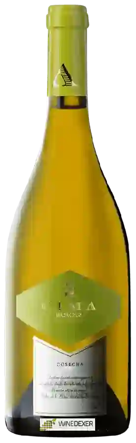 Winery Dehesa de los Llanos - Mazacruz Cima Blanco Winery Dehesa de los Llanos - Mazacruz Cima Blanco