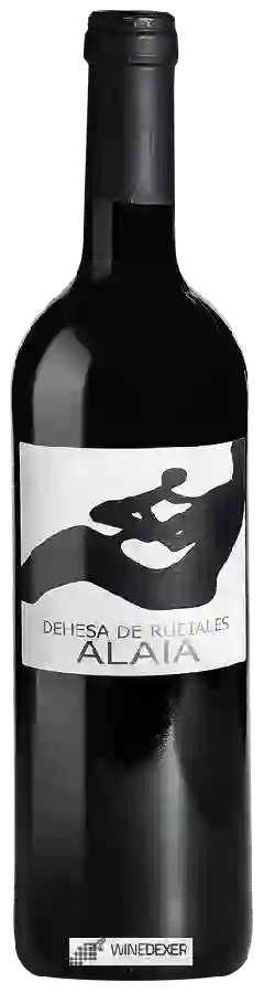 Winery Dehesa de Rubiales - Alaia Marisa Winery Dehesa de Rubiales - Alaia Marisa