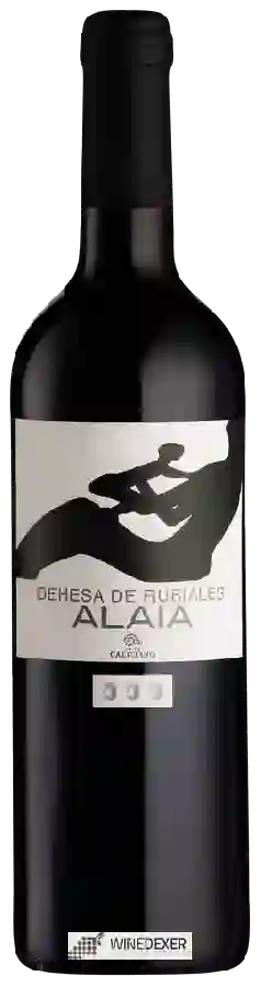 Winery Dehesa de Rubiales - Alaia Winery Dehesa de Rubiales - Alaia