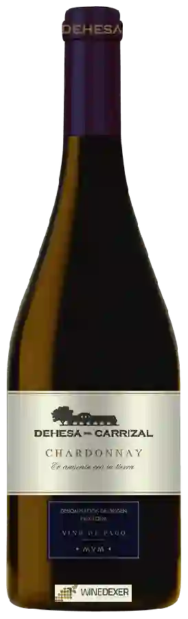 Winery Dehesa del Carrizal - Chardonnay Winery Dehesa del Carrizal - Chardonnay
