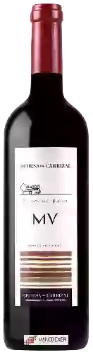 Winery Dehesa del Carrizal - MV