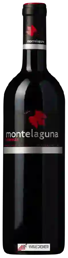 Winery Dehesa Valdelaguna - Montelaguna Crianza