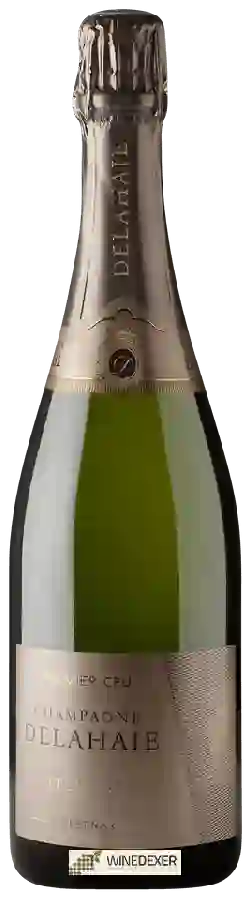 Winery Delahaie - Prestige Champagne Premier Cru Winery Delahaie - Prestige Champagne Premier Cru