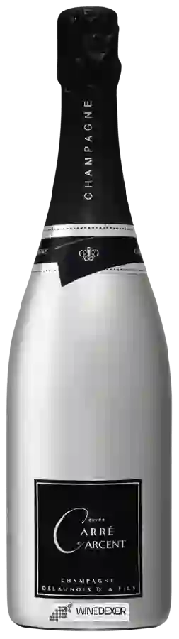 Winery Delaunois D. & Fils - Champagne Carre Argent Cuvee
