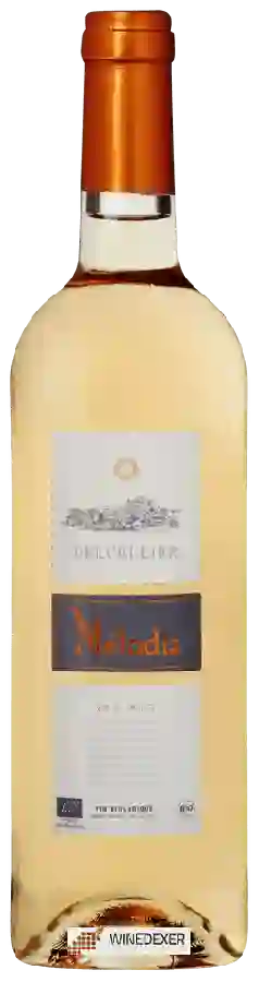 Winery Delcellier - Mélodia Rosé Winery Delcellier - Mélodia Rosé