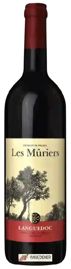 Winery Delhaize - Les Mûriers Rouge