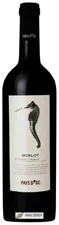 Winery Delhaize - Merlot Pays d'Oc Winery Delhaize - Merlot Pays d'Oc
