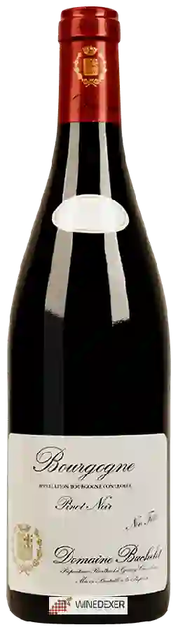 Domaine Denis Bachelet - Bourgogne Pinot Noir