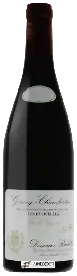 Domaine Denis Bachelet - Vieilles Vignes Gevrey-Chambertin Les Évocelles Domaine Denis Bachelet - Vieilles Vignes Gevrey-Chambertin Les Évocelles