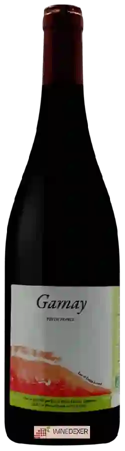 Winery Denis Lattard - Gamay Winery Denis Lattard - Gamay