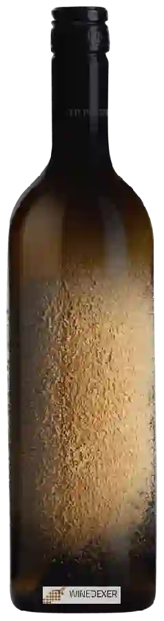 Winery Der Pollerhof - Vom Löss Winery Der Pollerhof - Vom Löss