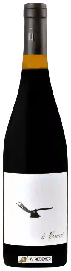 Winery Amiel - À Coural Winery Amiel - À Coural