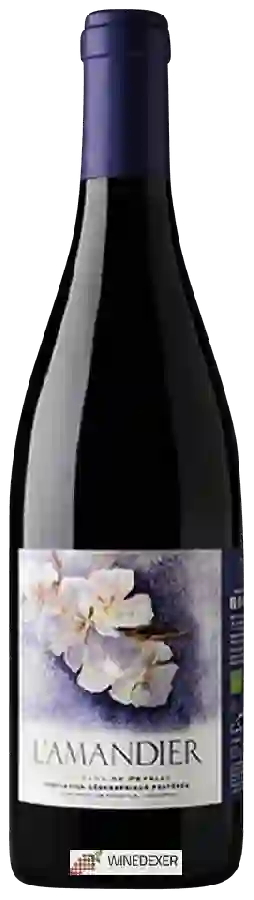 Domaine des Homs - L'Amandier