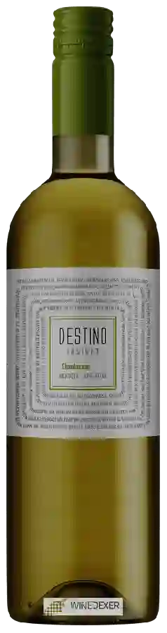 Winery Destino - Insight Chardonnay Winery Destino - Insight Chardonnay
