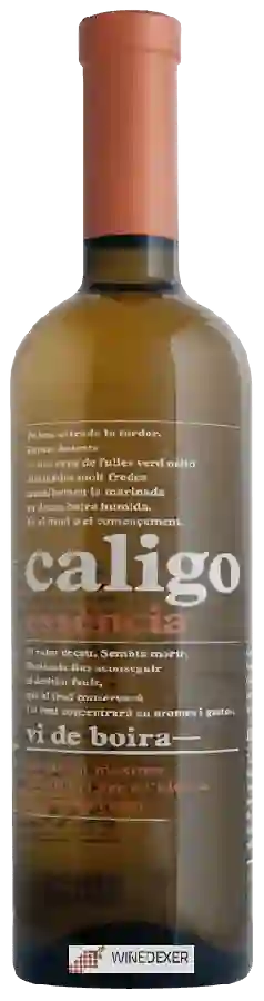 Winery DG Viticultors - Caligo Essència Vi de Boira