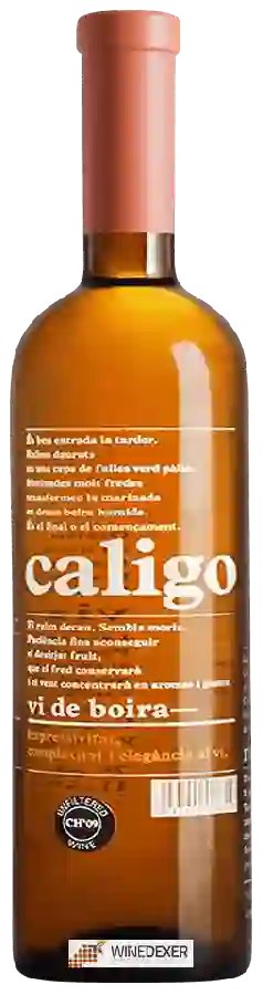 Winery DG Viticultors - Caligo Vi de Boira Winery DG Viticultors - Caligo Vi de Boira