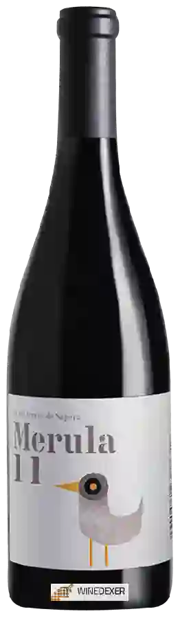 Winery DG Viticultors - Merula Winery DG Viticultors - Merula