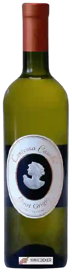Winery Di Camillo - Contessa Camilla Pinot Grigio