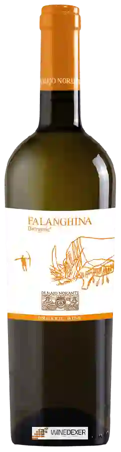 Winery Di Majo Norante - Falanghina Biorganic