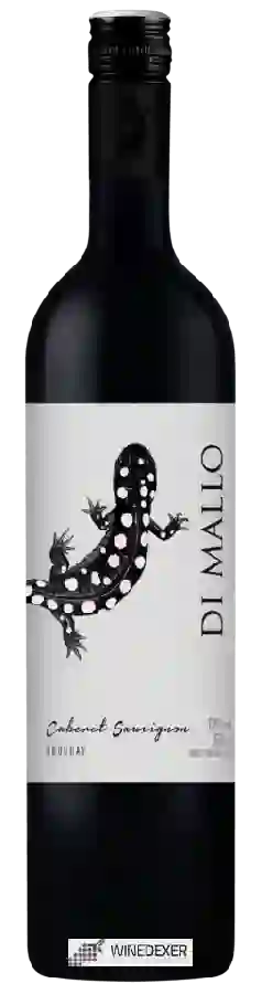Winery Di Mallo - Cabernet Sauvignon