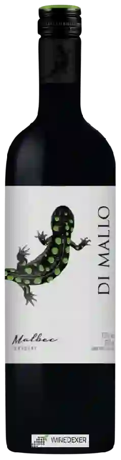 Winery Di Mallo - Malbec Winery Di Mallo - Malbec