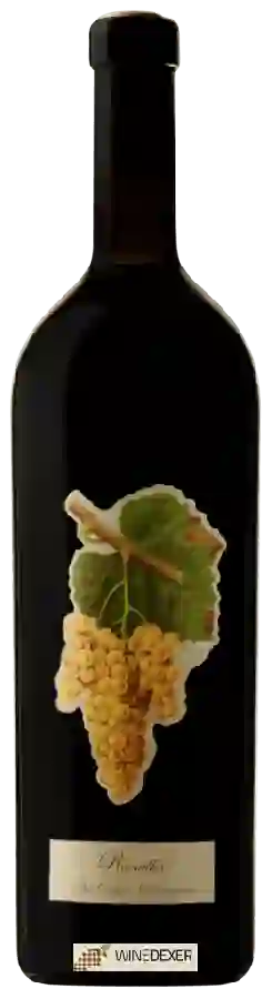 Winery Didier Dagueneau (Louis-Benjamin Dagueneau) - Ravaillac Winery Didier Dagueneau (Louis-Benjamin Dagueneau) - Ravaillac