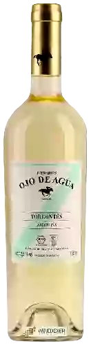 Winery Dieter Meier - Ojo De Agua Torrontes