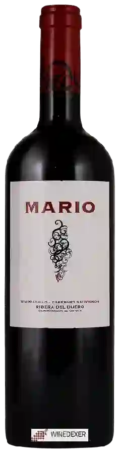 Winery Vega Clara - Mario Tempranillo - Cabernet Sauvignon