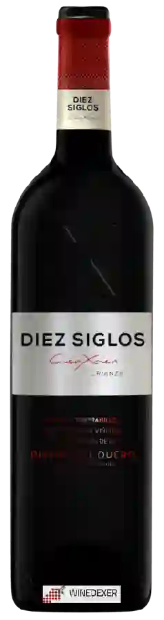 Winery Diez Siglos - Crianza