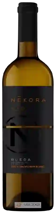 Winery Diez Siglos - Nékora Sauvignon Blanc