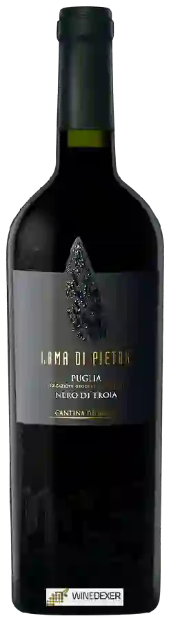 Winery Cantina Diomede - Lama di Pietra Nero di Troia