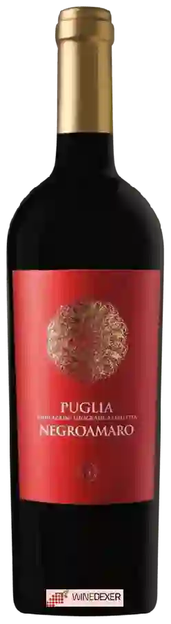 Winery Cantina Diomede - Negroamaro Winery Cantina Diomede - Negroamaro