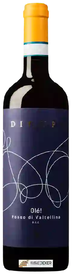 Winery Dirupi - Olé! Rosso di Valtellina Winery Dirupi - Olé! Rosso di Valtellina